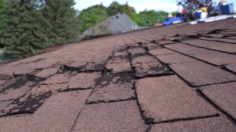 Best Commercial Roofing Services  in Farr West, UT